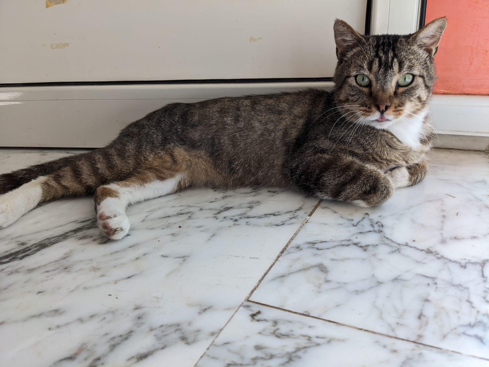 Campanello Vento Pesci Koi Colorato - Decorazione Giardino In Metallo Con Simbolo Fortuna - Foto 5